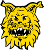 Ilves.png.a8dd2bd5466c483e78062e5cb09794a7.png